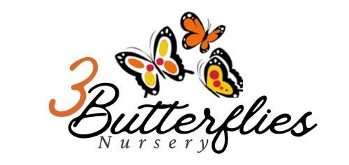 3 Butterflies Nursery Lewisham